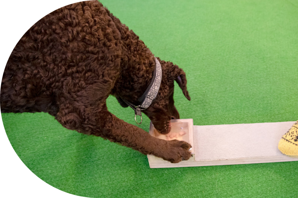 Itsenäistä työskentelyä mahdottomassa tehtävässä.