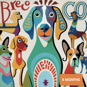 BreCo-licens 6 månader